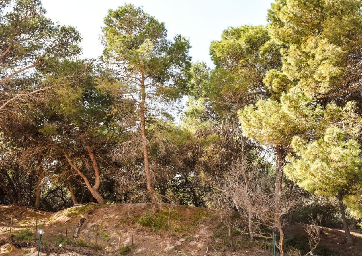 Appartamento Sulla Spiaggia Галиполи Екстериор снимка